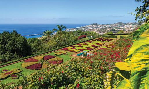 Madeira Discovered
