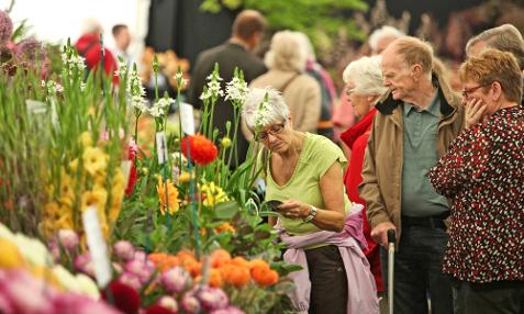 Chester and the RHS Tatton Park Flower Show