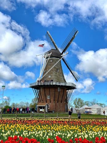 Dutch Bulbfields & Keukenhof